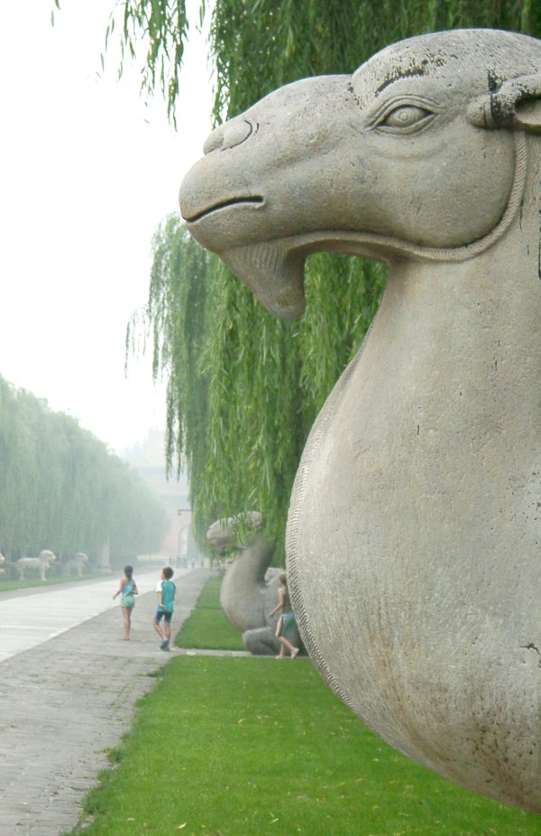 china01020089.jpg