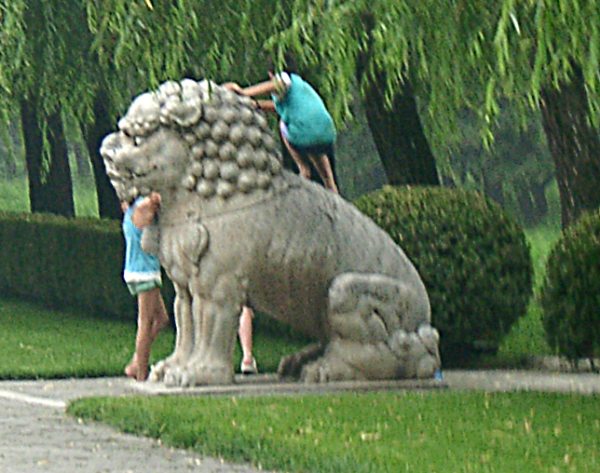 china01020090.jpg