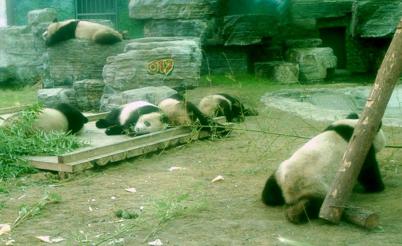 china01030044.jpg
