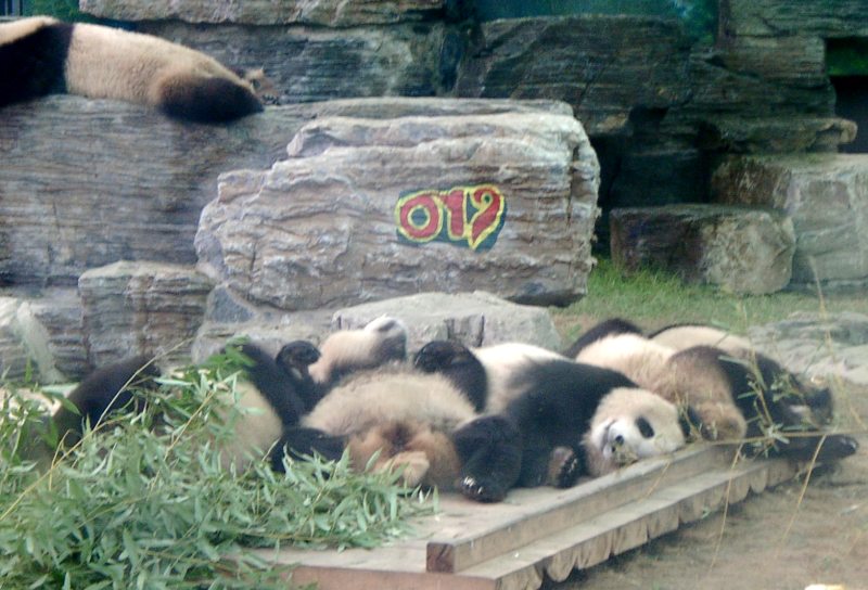 china01030047.jpg