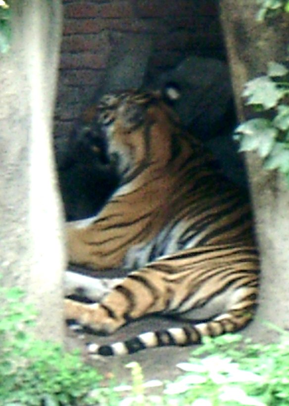 china01030056.jpg