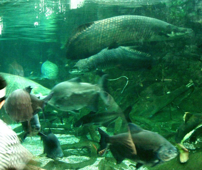 china01030064.jpg