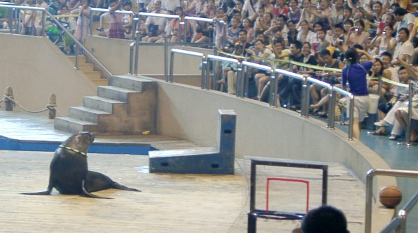 china01030073.jpg