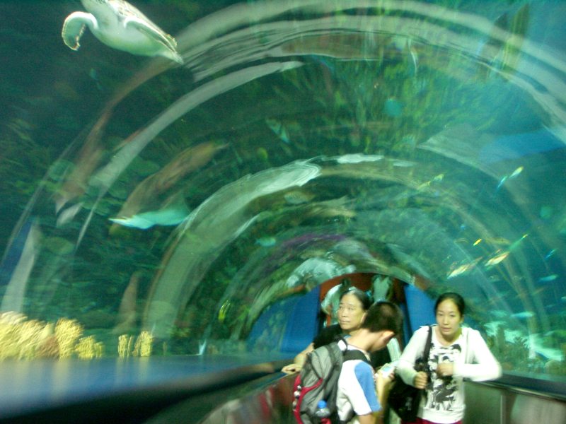 china01030084.jpg
