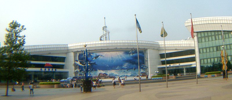 china01030096.jpg