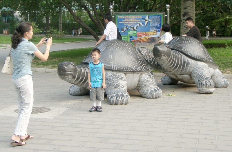 china01030098.jpg
