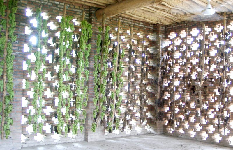 china01060081.jpg