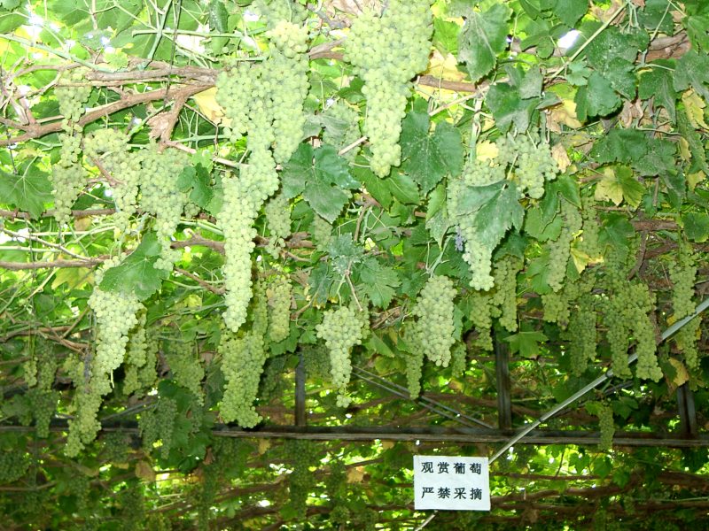 china01060083.jpg