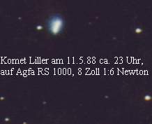 liller2.jpg