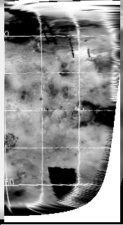 nimsbg2.gif